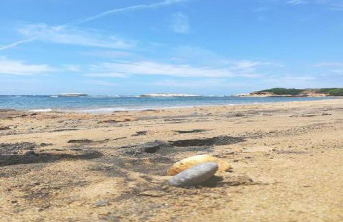 lungomare chess - Foto 30