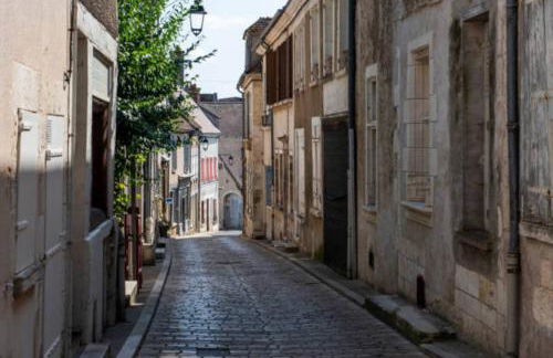 La petite Madeleine de Chavignol - Foto 21