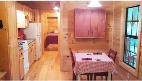 Cabin in the Woods-Peaceful 1BR 20-Acre Rural Retreat-HotTub&WiFi near Asheville - Foto 4