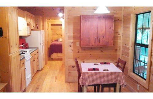 Cabin in the Woods-Peaceful 1BR 20-Acre Rural Retreat-HotTub&WiFi near Asheville - Foto 4