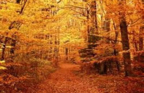 Champeix, maison confort 6 personnes - Photo 28