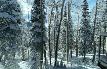 Eagle Point Ski Resort 9 Wooded Ridge Condos - Foto 17