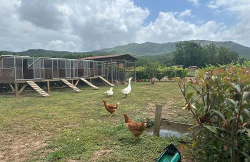 Family Farm Soc. Agr. a r.l. - Foto 28