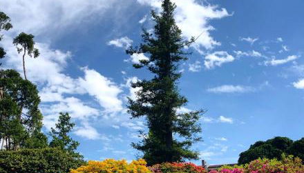 Casa Anna - Parco Hermitage - Photo 2, Garden