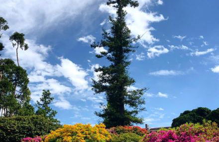 Casa Anna - Parco Hermitage - Photo 2