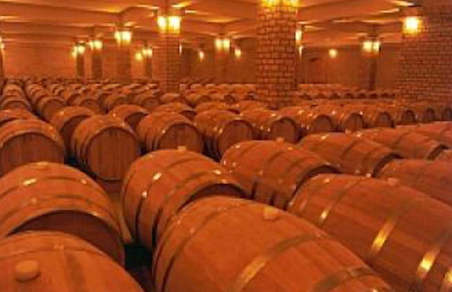 Day Trip to Vale do Rio das Antas & Serra Gaúcha Wineries - Photo 5