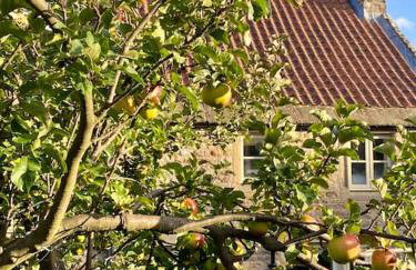 The Bakehouse - Foto 44