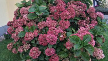 Ferienwohnung Perlitz - Foto 3