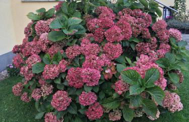 Ferienwohnung Perlitz - Foto 3