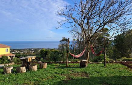 Biscoitos Top View - Photo 33