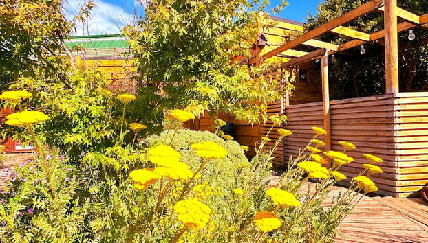 Cabañas Pewma Futrono - Foto 5, Zimmer