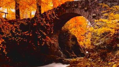 Bryansford Cottage Stables - Foto 2