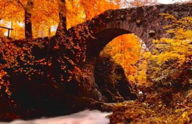 Bryansford Cottage Stables - Foto 2