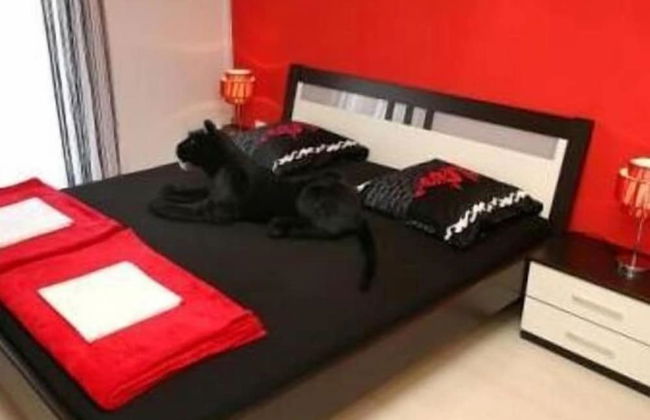 Logos Guesthouse - Foto 2