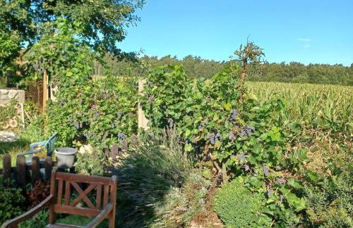 Gemuetlicher Bungalow mit Garten UND Whirlpool in Nakenstorf - Foto 42