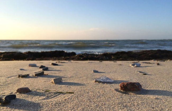 Kleine Freiheit Fehmarn - Foto 31