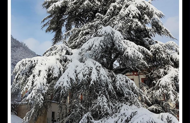 L'echappée Verte - Foto 57