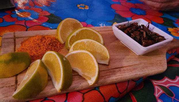 Traditional Mexican Bars Tour - Foto 3