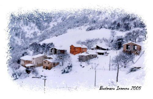 B&B Bosimano - Foto 27