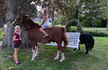 Farm stay Hof auf der Wurp - Photo 11