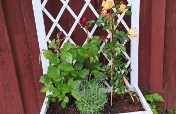 Haus Eufalia - Photo 49