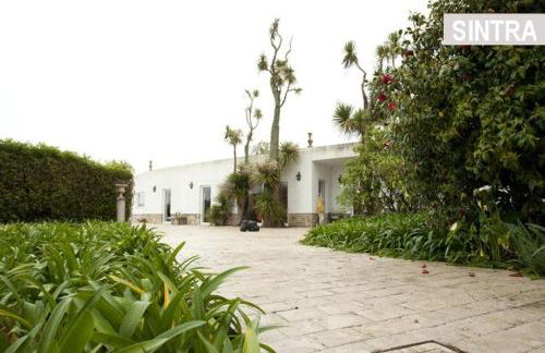 Heaven in the Sintra Forest - with pool - Photo 28