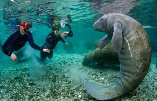 Cozy Home In Beverly Hills near Crystal River - Foto 15