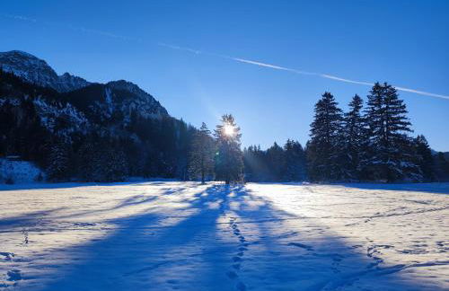 Ferienhof beim Bohlar - Hochplatte - Foto 16
