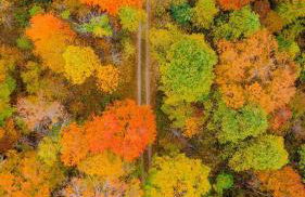 The 312 House - A Boho Retreat- Hocking Hills - Foto 12