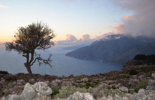 Xenonas Anopolis 2 - Foto 15