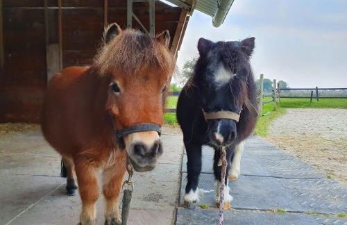 Landhaus am Grafthof - Photo 23