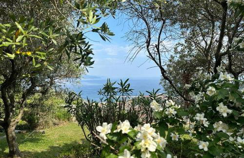 House of Charme - Foto 31