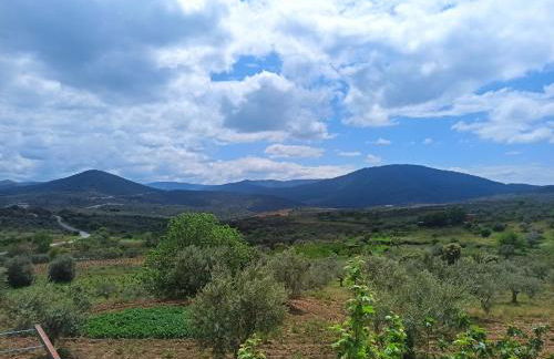 Casa Rural Los Olivos - Foto 23