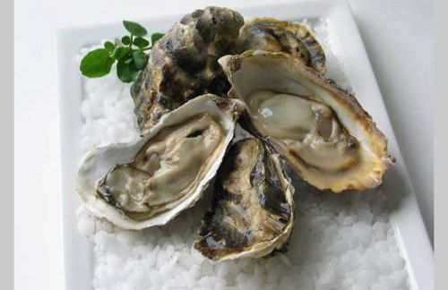 Villa La Hautaise vue sur mer - Foto 15