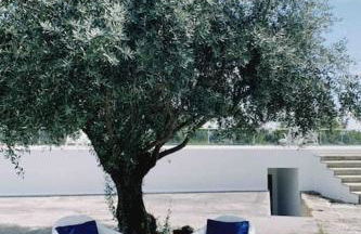 Casa da Oliveira - Foto 16