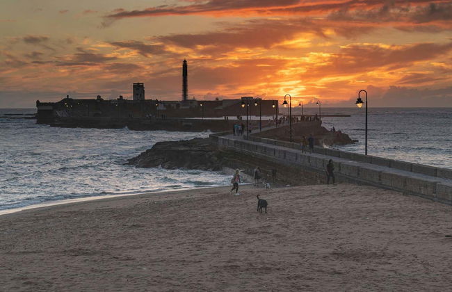 Tour in Cadiz - Photo 1