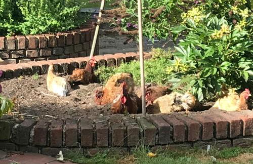 Ferienwohnung am Komisenpad - Foto 10