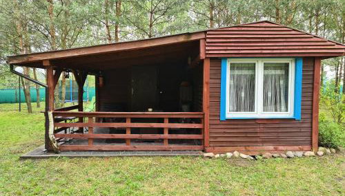 Leśny Zakątek Lipinki Bory Tucholskie - sauna - Foto 2, Garden view