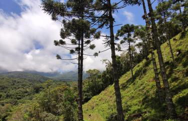 Linda casa em Visconde de Mauá perto da cachoeira - Foto 54