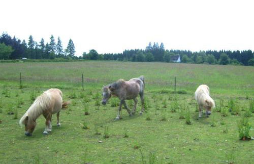 Heidehof Hellenthal - Foto 25