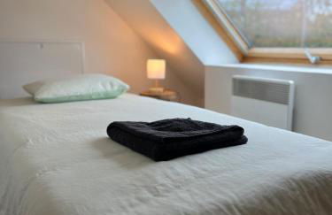 Appart Duplex Proche Centre - Foto 18