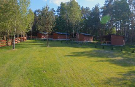 Domki Wrzosowe Wzgórza Nr2 - Foto 56