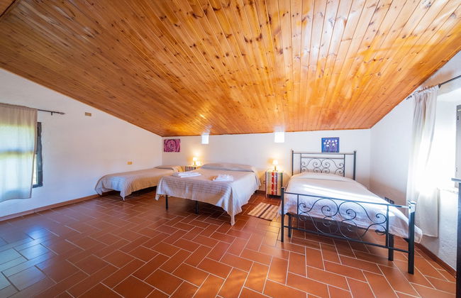 Agriturismo il Palagetto - Foto 6