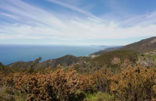 Non Solo 5Terre - Foto 11