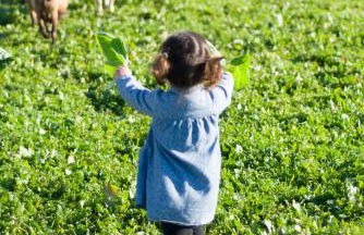Agroturismo Llucmaçanes Gran - Foto 65