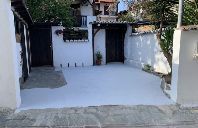 Beautiful Petrino 1880 - Photo 40