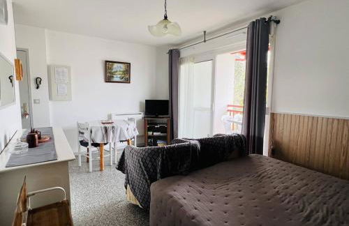 T1 avec balcon à Cambo-les-Bains, parking inclus, 2 couchages - FR-1-495-16 - Foto 6