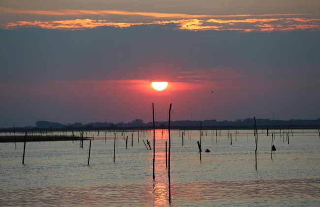 Apartment in Albarella Near Sandy Beach - Foto 48