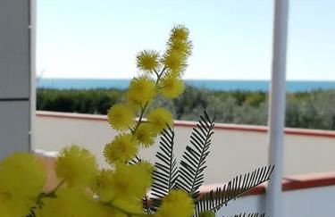 Panoramico, in villa, grande, con ampie terrazze - Foto 64