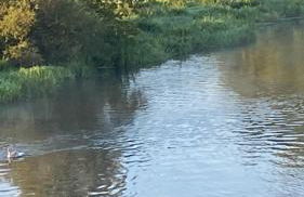 Idyllische Ferienwohnungen in Mossendorf Blick zur Naab - Foto 34